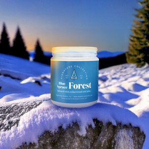 Blue_Spruce_Forest_Lifestyle